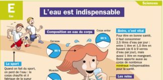 Educational infographic : L’eau est indispensable