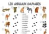 Educational infographic : Les animaux sauvages