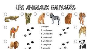 Educational infographic : Les animaux sauvages