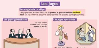 Educational infographic : Les juges