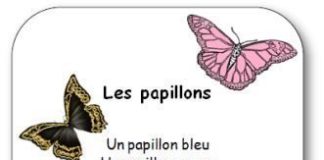 Educational infographic : “Les papillons”, une poésie de Pierre Gamarra – Poésie Les papillons pour apprendre les couleurs