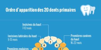 Educational infographic : Les premières dents percent généralement vers l’âge de 6 mois. Elles peuve…