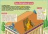 Educational infographic : Les temples grecs – Mon Quotidien, le seul site d'information quotidienne po…