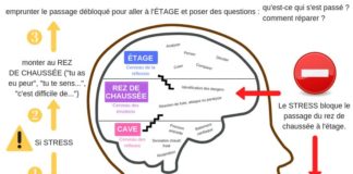Educational infographic : Les étages du cerveau pour mieux comprendre les réactions émotionnelles des enfants