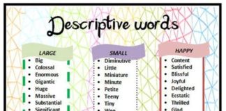 Educational infographic : List of Descriptive Words: Common Adjectives in English