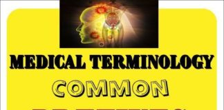 Educational infographic : Medical Terminology of the Cardiovascular System