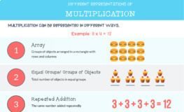 Educational infographic : Multiplication Infographic/ Reference