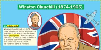 Educational infographic : Playbac Presse Digital