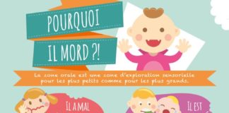 Educational infographic : Pourquoi il mord