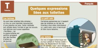Educational infographic : Quelques expressions liées aux toilettes
