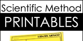 Educational infographic : Scientific Method Posters