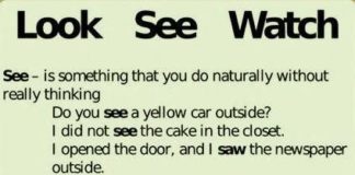 Educational infographic : See, look, and watch