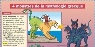 Educational infographic : Simplify Responsive Blogger Template