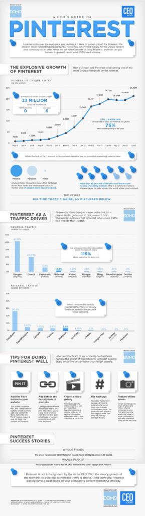 Educational infographic : The CEO's Guide To Understanding Pinterest's ...