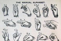 Educational infographic : Untitled