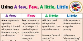 Educational infographic : Using A few, Few, A little, Little in English