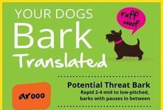Educational infographic : Your dogs bark language translated infographic. #dog #infographic #bodylanguage …