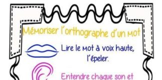 Educational infographic : affichage mémoriser des mots …