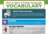 Educational infographic : language learning infographic, how to learn a language, how to learn vocabulary,…
