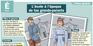 Educational infographic : “lexique”