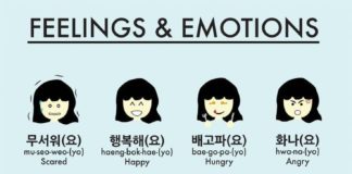 Educational infographic : #photography #inspiration #design #graphicdesign #art