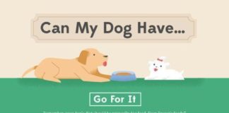 Fashion infographic : Can My Dog Have… #Infographic on feeding your pup “people food.” #pets… Chec…