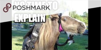 Fashion infographic : FOLLOW GAME #2! I FOLLOW BACK FOLLOW ALL THE LIKES PLZ FOLLOW ❤ SHARE ❤ LIKE…