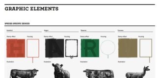 Fashion infographic : Food infographic – Food infographic – Branding Identité graphique