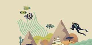 Fashion infographic : Les illustrations vectorielles colorées d’Owen Davey