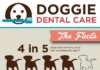 Fashion infographic : Make sure Fido and Fluffy have healthy chompers! Use this handy infographic! #do…