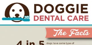 Fashion infographic : Make sure Fido and Fluffy have healthy chompers! Use this handy infographic! #do…