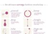 Fashion infographic : Fashion infographic : The Ultimate Earrings Fashion Vocabulary