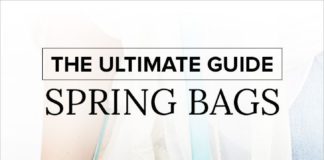 Fashion infographic : The Ultimate Guide to Finding Your Perfect Spring Bag