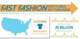 Fashion infographic : Warum unterstützen Sie immer noch unethisch produzierte Fast Fashion? Fast Fashion: eine … – My Hobby Blog – Living Tips