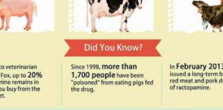Food infographic – 10 Banned Foods That Every American Should Stop Eating. {Infographic}
