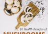 Food infographic – 10 Health Benefits of Mushrooms