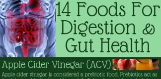 Food infographic – 14 Foods For Digestion and Gut Health