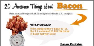 Food infographic – 20 Awesome Things About Bacon – Infographic on www.bestinfograph…