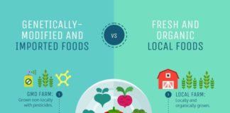 Food infographic – 20 Comparison Infographic Templates and Data Visualization Tips