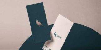 Food infographic – 38 best ideas for photography studio logo design ideas