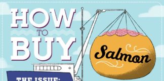 Food infographic – 4 Things You Need To Know Before You Buy Salmon