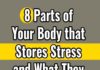 Food infographic – 8 Parts of Your Body that Stores Stress and What They Reveal About Your Emotions