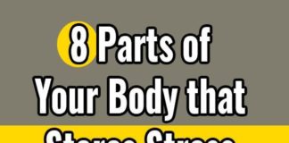 Food infographic – 8 Parts of Your Body that Stores Stress and What They Reveal About Your Emotions