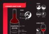 Food infographic – A Guide to Wine in Infographic Form