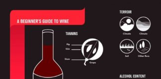 Food infographic – A Guide to Wine in Infographic Form