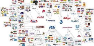 Food infographic – A ameaça ao grupo econômico trabalhista no PLV 17/19