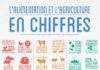 Food infographic – Alimentation et agriculture en chiffres et en infographie