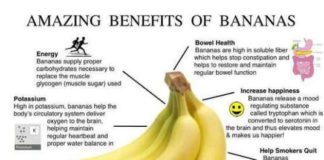 Food infographic – Avocado Banana Smoothie: A Digestion, Anti-inflammatory and Prenatal Helper!