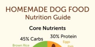 Food infographic – Because dogs are also what they eat, we've got for you the most informative …