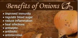 Food infographic – Benefits of onions Clean eating